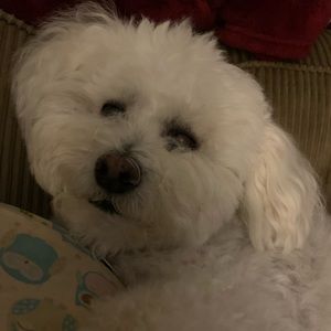 Meet your Posher, Jill